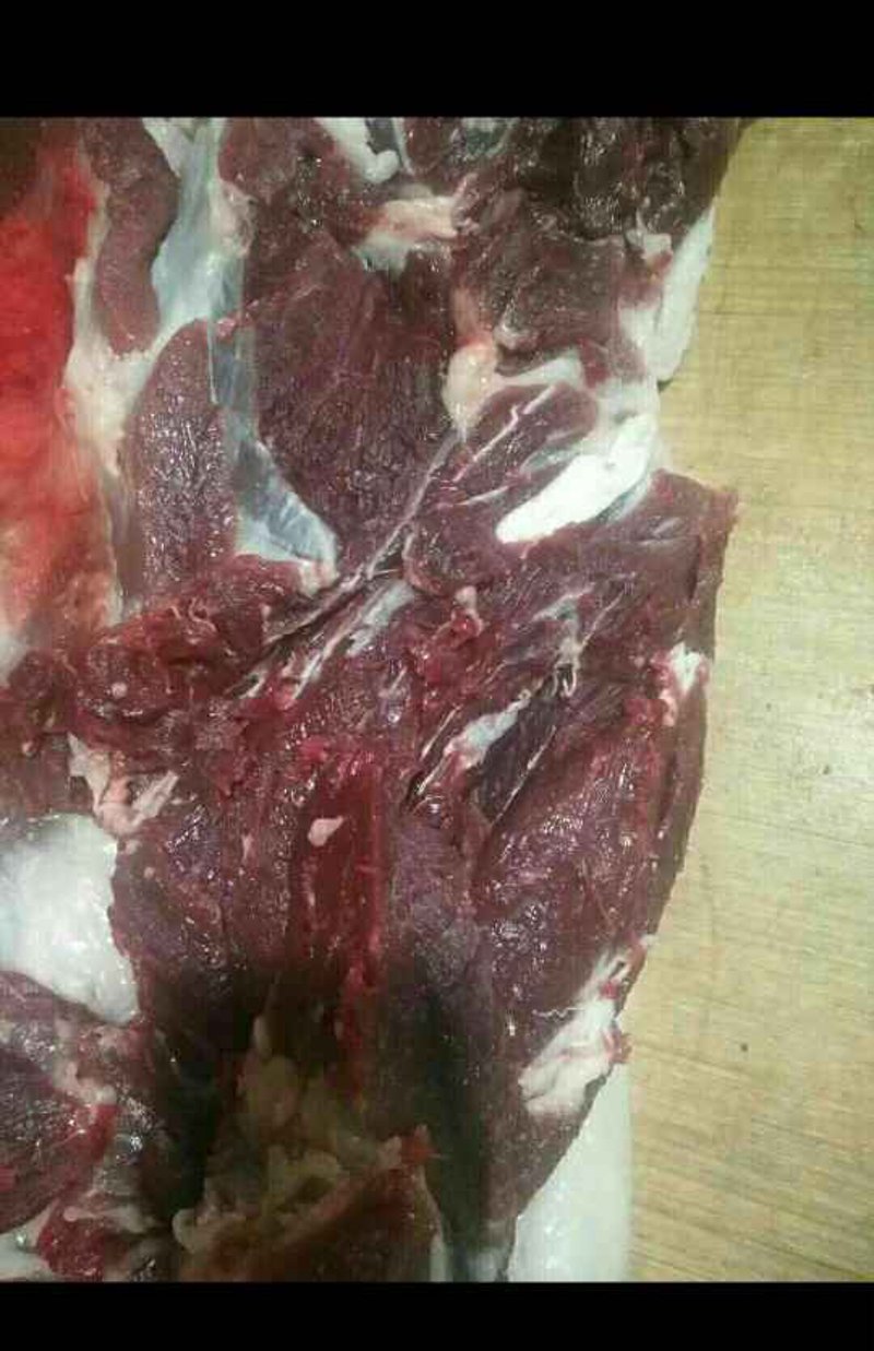 走进怀宁生猪养殖：传统与现代交织的新篇章