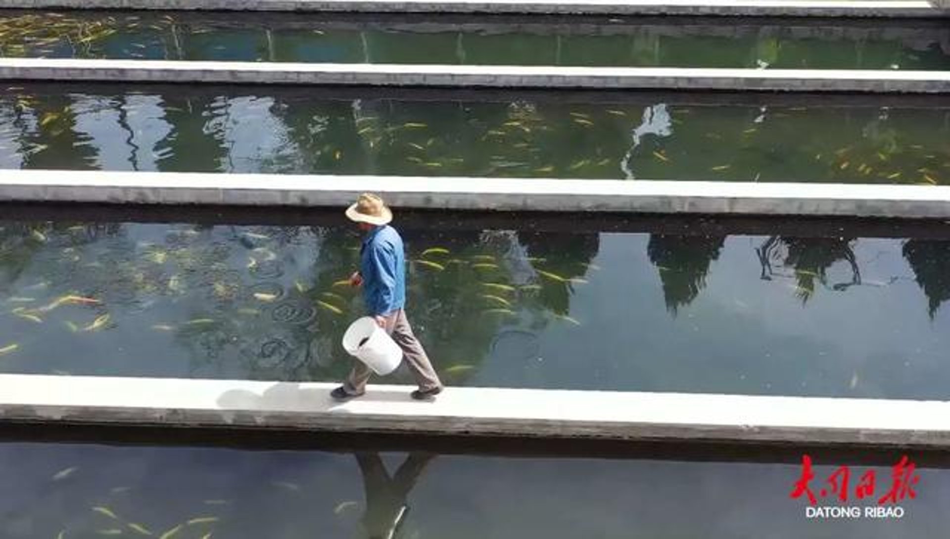 万鑫养殖